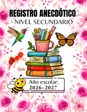 Registro Anecdótico – Nivel Secundario